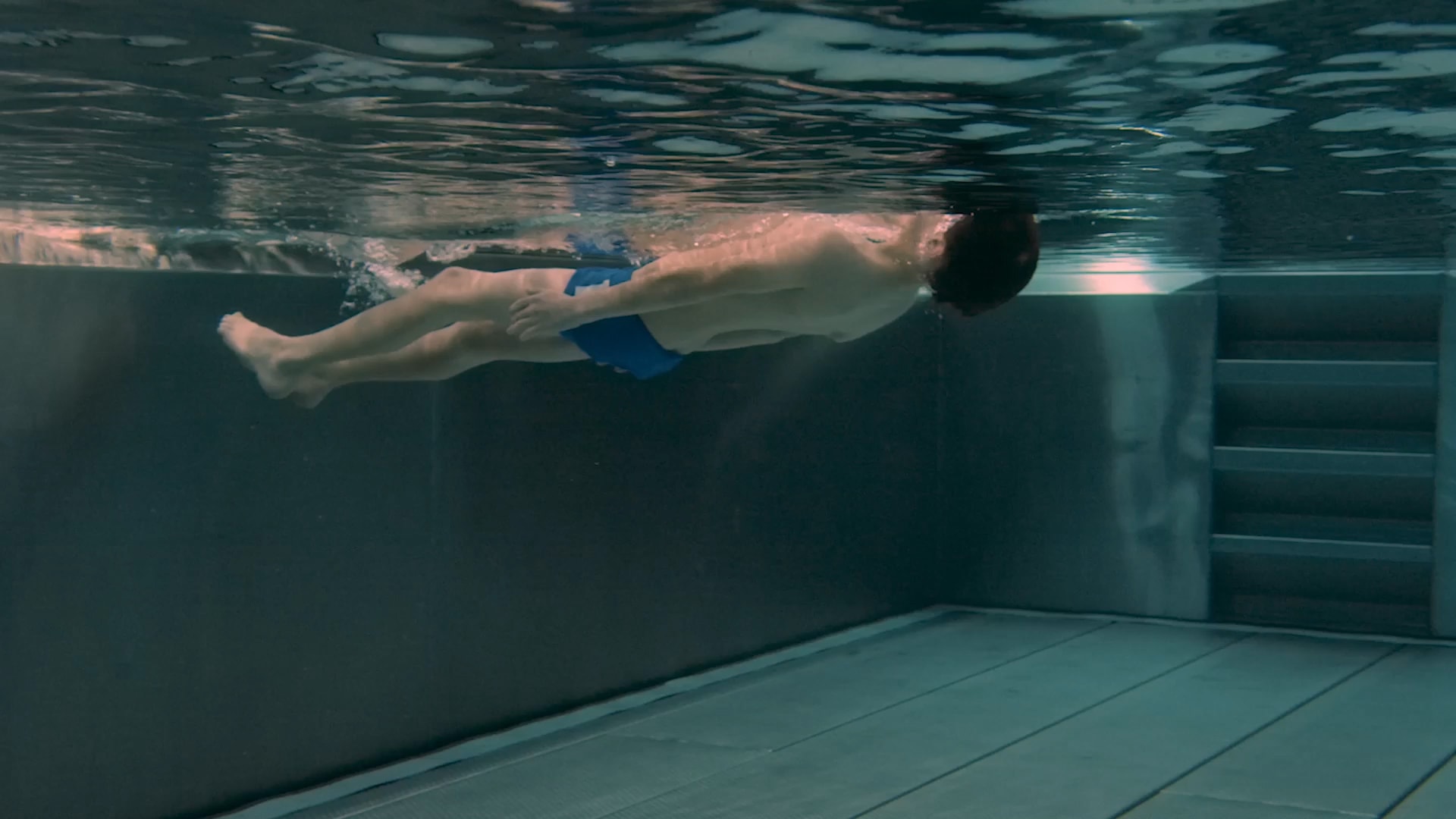 Lerninhalt Baumstamm